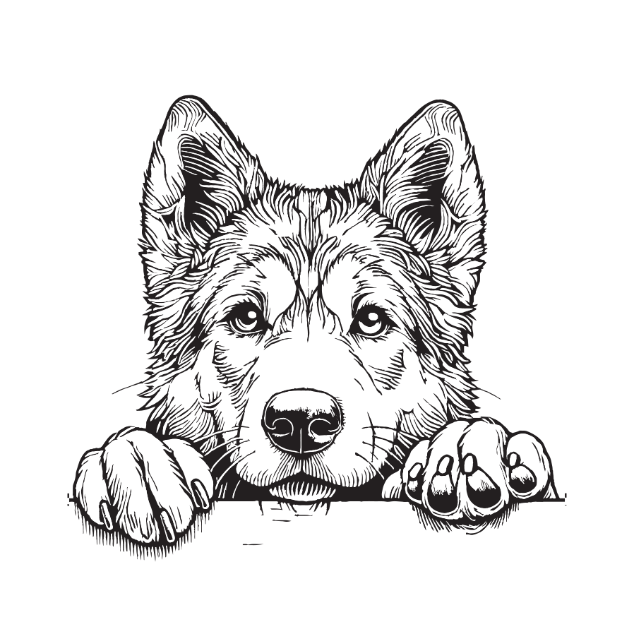 Dog Portrait Coloring Book