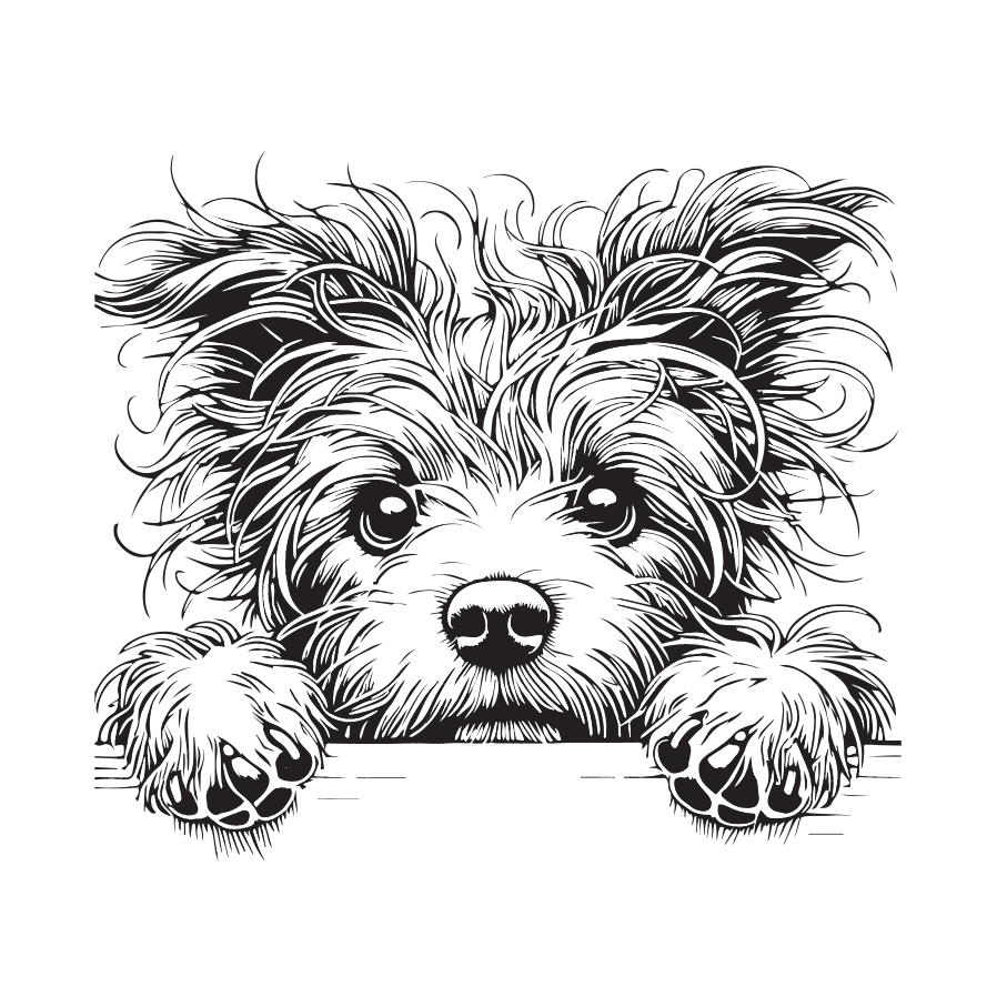 Dog Portrait Coloring Book - colorbookstore