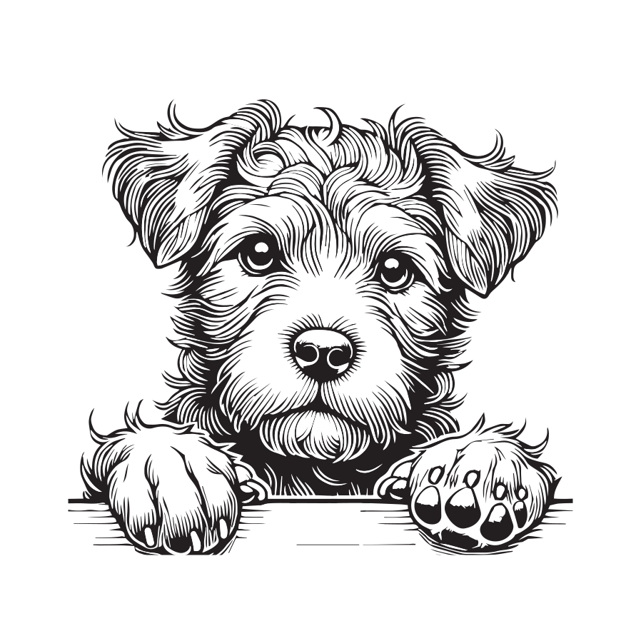 Dog Portrait Coloring Book