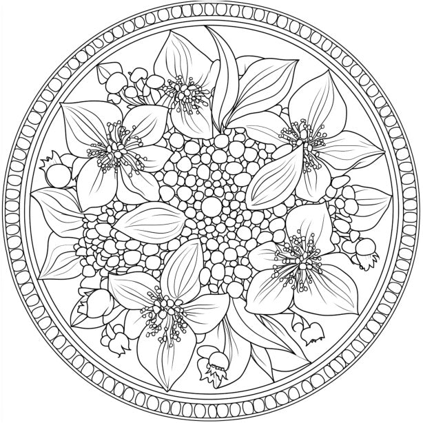 Flower Mandalas Coloring Book